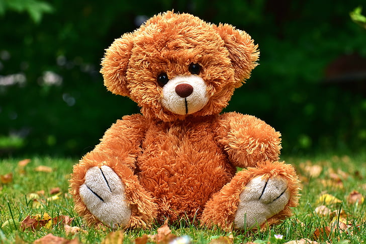 Teddy, milý, Plyšová hračka, plyš, Plyšák, sladký, medveď