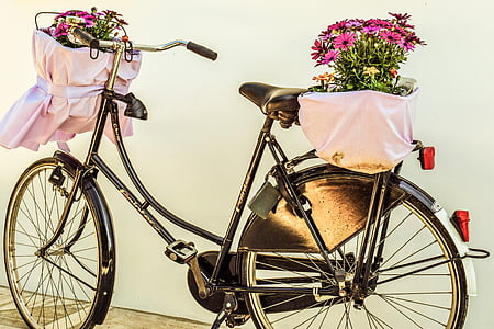 dviratis, gėlės, krepšys, dviratis, derlius, šviesą, pavasarį