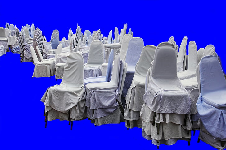 cadires, blau, blanc, interior, mobles, full de pols, domèstic