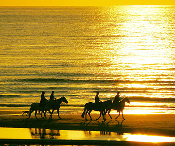 Reiter, Ride, cheval, animaux, animal, nature, coucher de soleil