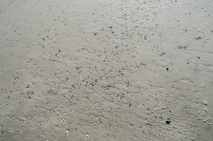 arena, cáscaras de, conchas marinas, ciudad del océano, Costa de New Jersey, Playa, Océano