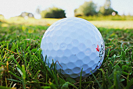 Golf, Golf, esport, herba, pilota, pilota de golf, camp de golf