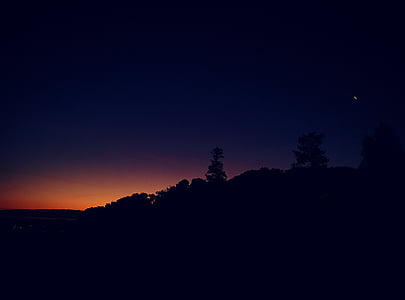 siluetas, Horizontas, medis, siluetai, saulėtekį, naktį, Saulėlydis