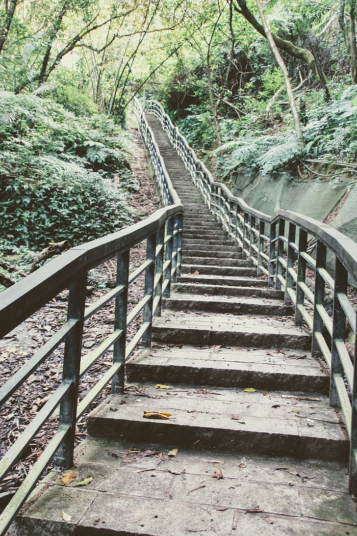 escadas, escadaria, gradualmente, ramp-up de, Taiwan, Taipei, montanha