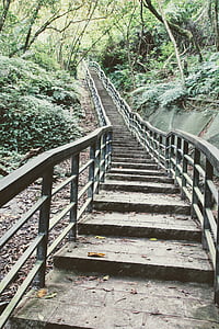 стълби, стълбище, постепенно, рампа на, Тайван, Тайпе, планински