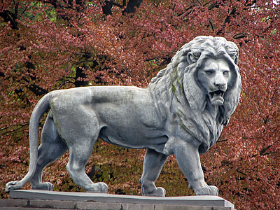 Liūtas, gyvūnų, medis, lapai, spalvos, Gamta, skulptūra