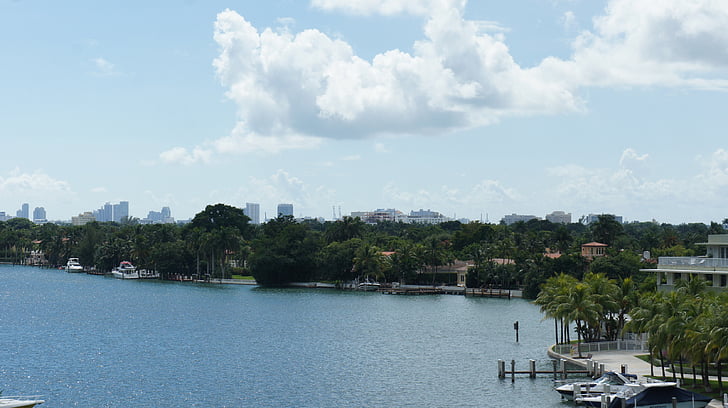 Miami beach, palmeiras, água, arranha-céus, embarcação náutica