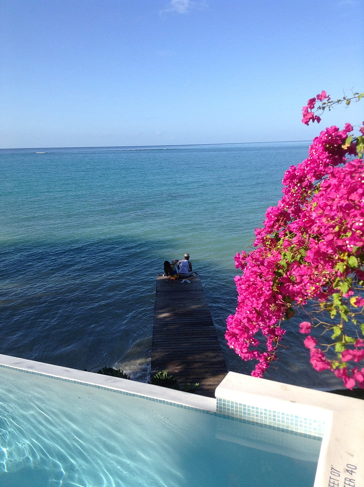 Jamaica, platja, oceà, embarcador, flors, vacances, Mar