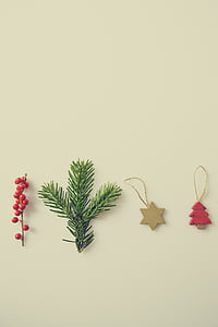 jul, dekoration, prydnadsföremål, vinter, gren, FIR tree, säsong