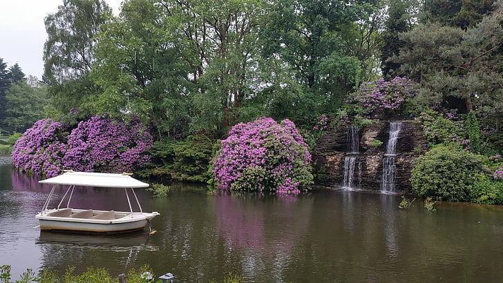 Parque, naturaleza, Río, barco, cascada, flores de color púrpura, natural