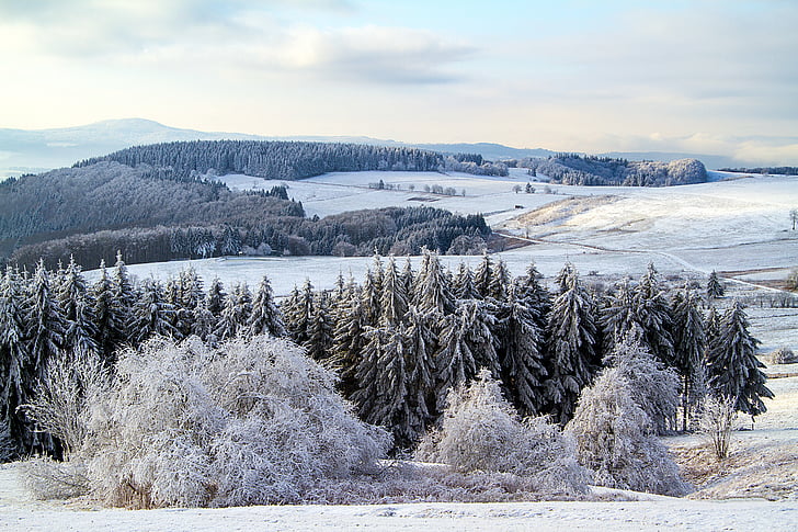 žiemą, sniego, žiemos, hochrhoen, Wasserkuppe, Rhön žiemos, snieguotas