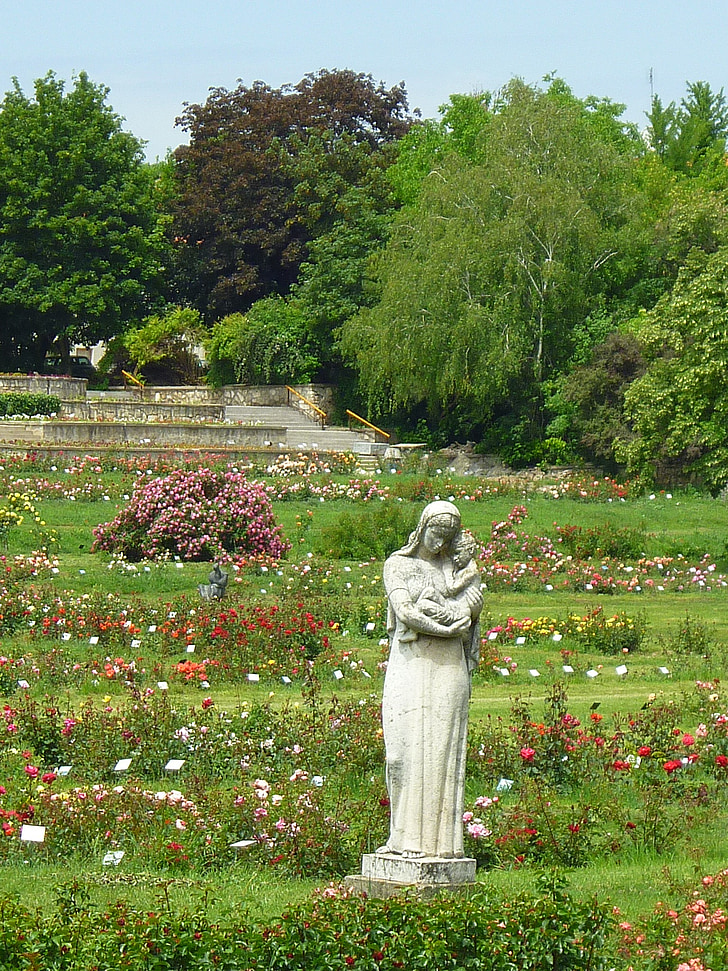 rose garden, statue, rose bushes, colorful roses, avenue, nature, summer flower