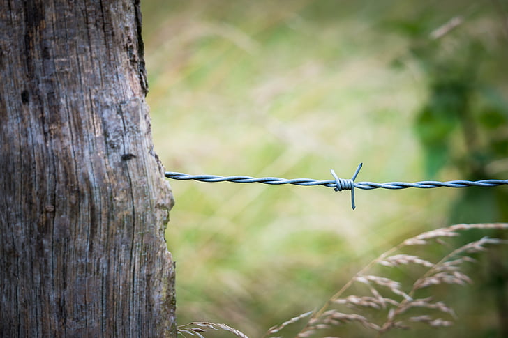 fence, pile, fence post, wire, pasture, meadow, post