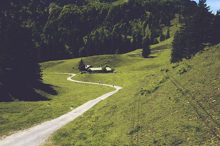 pryč, pěší turistika, Příroda, tráva, hory, Les, stromy