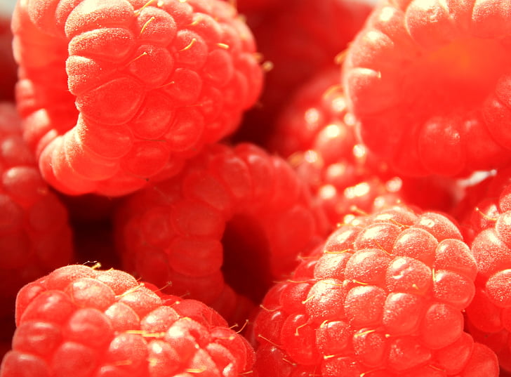 raspberry, raspberries, berries, pink, food, fruit, sweet