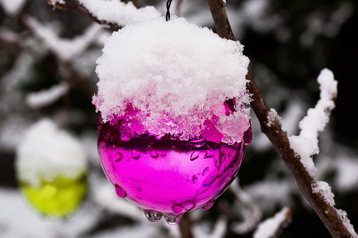 new zealand, christbaumkugeln, winter, cold, frozen, white, pink