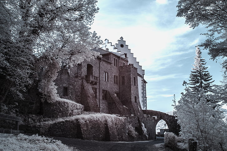 miltenberg, castle, places of interest, historically, bavaria