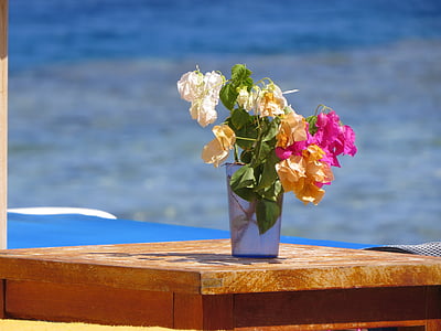 vaso, fiori, mar