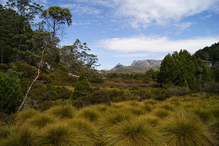 Montaña Cradle, Tasmania, Parque Nacional, senderismo, Scenic, Australia