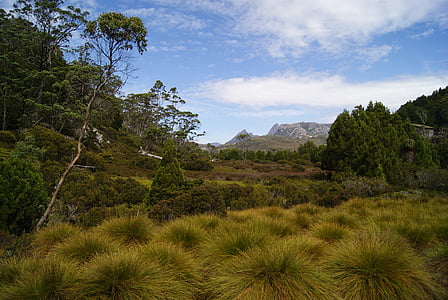 montagna della culla, Tasmania, Parco nazionale, escursionismo, scenico, Australia