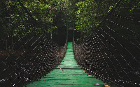 pont, chemin d’accès, passerelle, suspension, Camping, vous voyagez, se promener