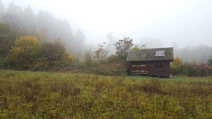 fog, forest, glade, hut, beehive, autumn, solar cell