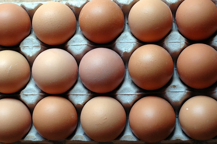 eggs, rows, patterns, nutrition