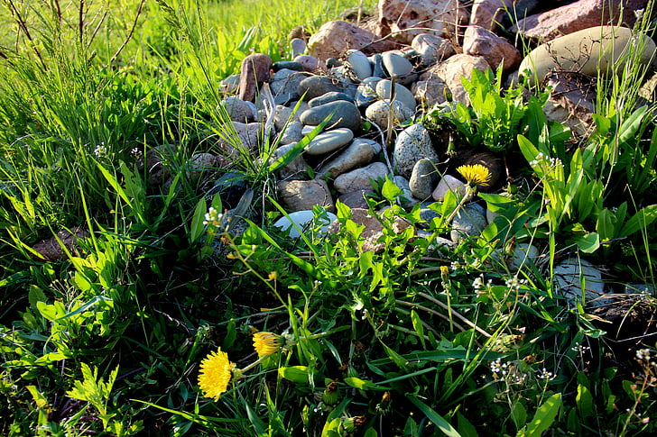stenar, gräs, sommar, bakgrund, naturen, grön bakgrund, fältet