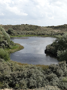 lake in the dunes, dunes, dutch landscape, more, nature, summer, water