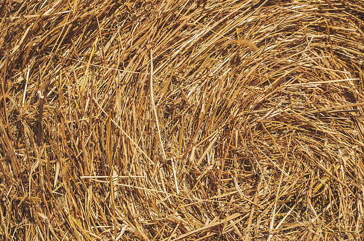 hay, farm, countryside, texture