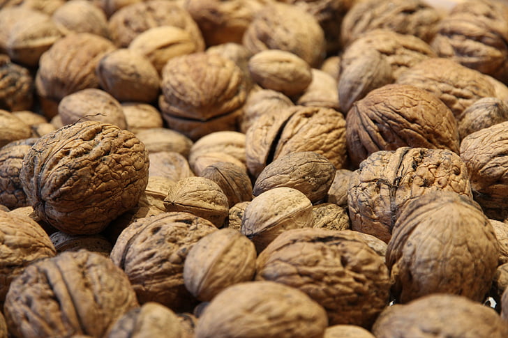 walnuts, walnut, nuts, close