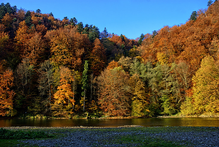 Pieniny, Dunajec, podzimní listí, barvy, pohled, Příroda, řeka