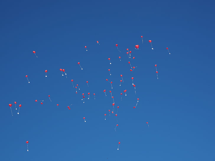 balloner, flyve, bryllup, Tillykke, Tillykke, anledning, opgradering