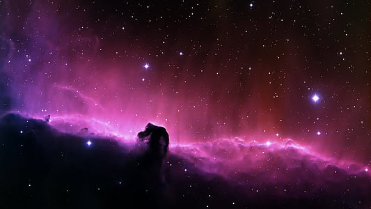 horsehead nebula, dark nebula, constellation, orion, astronomical object, dust, gas