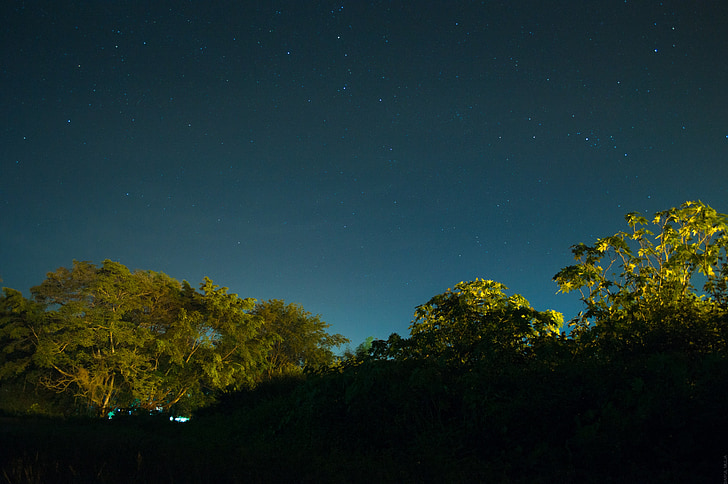 Nočná obloha, svetlá, noc, modrá, dlhé expozície, stromy, hviezdy