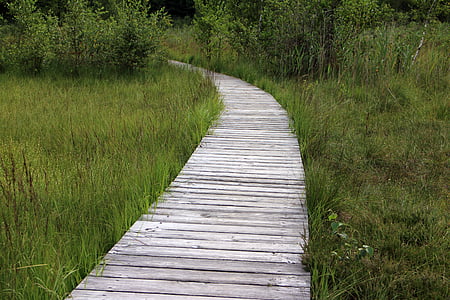 wooden track, away, path, trail, planks, web, nature