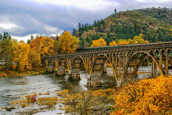 tiltas, rudenį, upės, lapai, rudenį, patenka medžiai, geltona