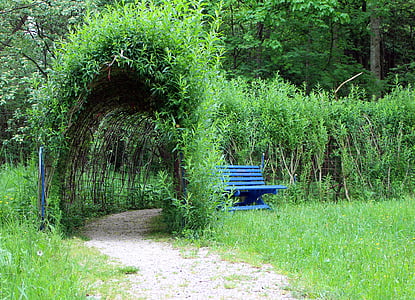 plant tunnel, away, promenade, plant, tunnel, canopy, garden