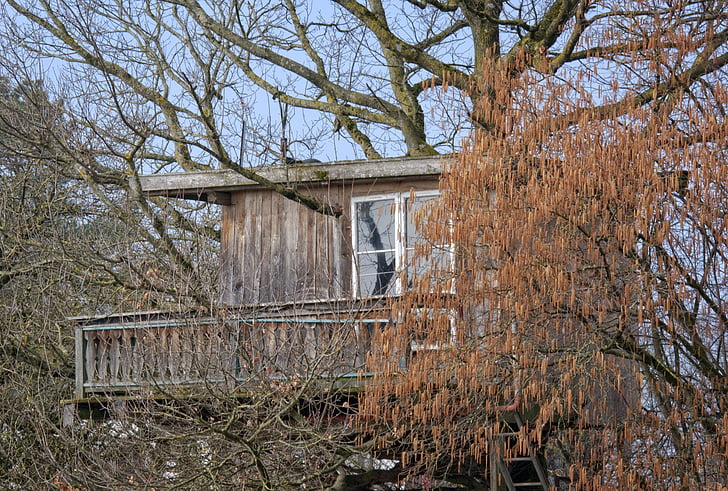 treehouse, hut, tree, nature, home, live, accommodation