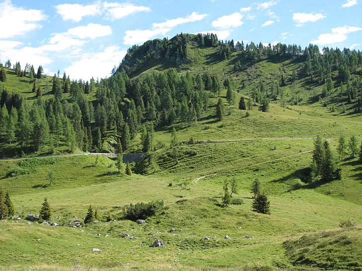 cảnh quan, Prato, núi, Thiên nhiên, màu xanh lá cây, mùa hè, đồng cỏ