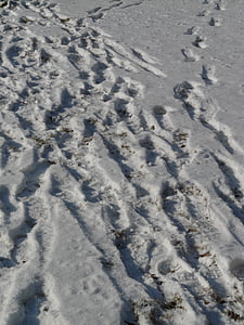 traces, snow, wintry, snow lane, footprints, reprint