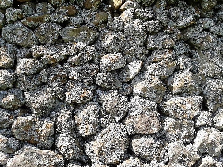 pared de roca, naturaleza, piedras, Moss