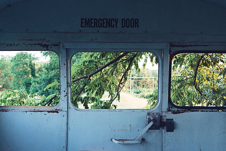 branches, door, door handle, emergency exit, leaves, old, trees