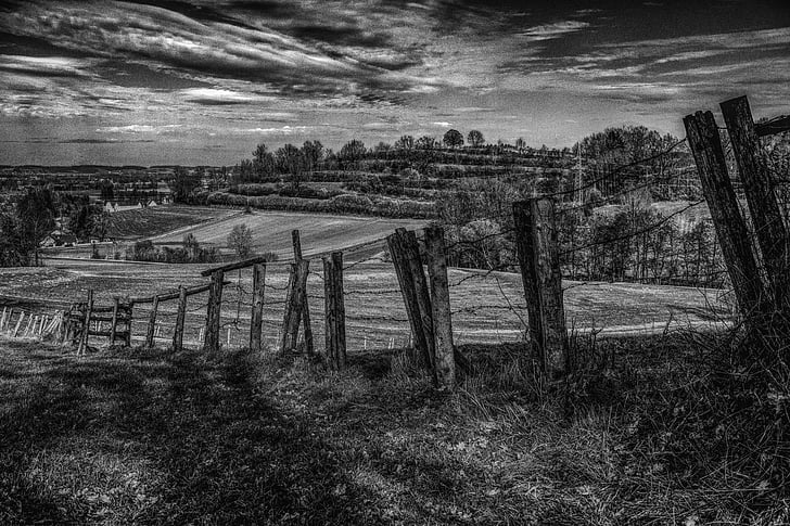 fence, landscape, away, nature, sky, forest, barbed wire