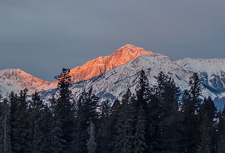 vit, Mountain, över, Pine, träd, Sky, solnedgång