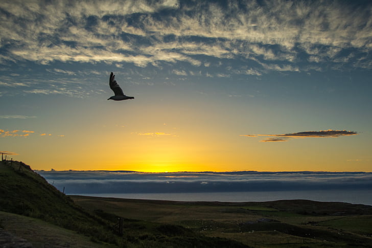 sunset, ocean, clouds, silhouette