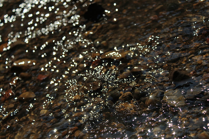 vann, Creek, Nærbilde