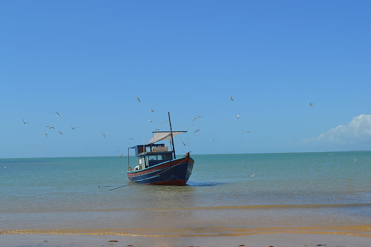 boat, mar, bahia, beach, vessel, fisherman, fishing
