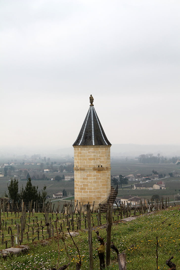 Saint emilion, Γαλλία, κρασί, αμπελώνες, Αμπελώνας, Γεωργία, παλιάς χρονολογίας