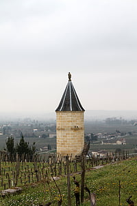 Saint emilion, Prancis, anggur, kebun anggur, kebun anggur, pertanian, Vintage